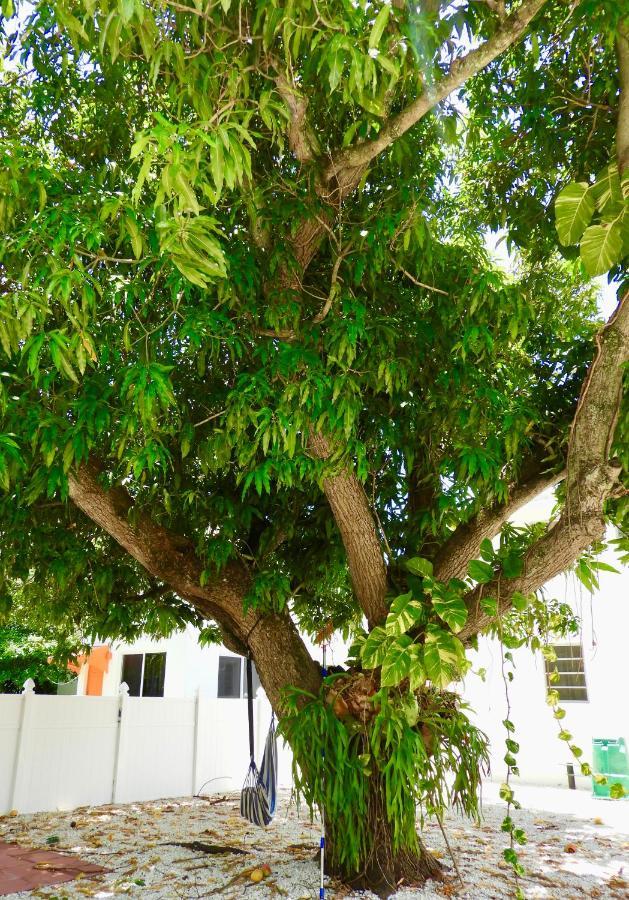 Beautiful Casita With King Bed And Private Patio Close To Calle 8, Mia Airport, Coral Gables Майами Экстерьер фото